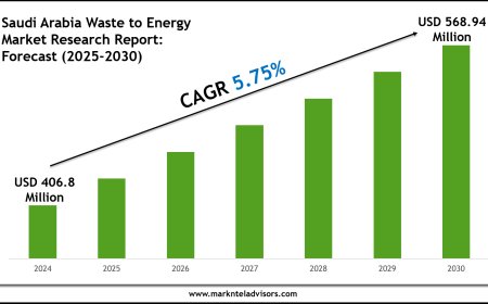 Saudi Arabia Waste to Energy Market Intelligence Report: 2025–2030 Forecast & Trends