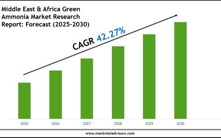 Middle East & Africa Green Ammonia Market Research 2025–2030: Demand Drivers & Projections
