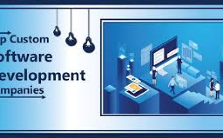 Why Customized Software Development Companies Are Reshaping the Digital Future
