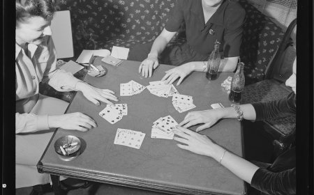 How to Get Started with Laserbook: A Beginner’s Guide to Seamless Betting