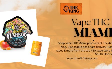 Explore Vape THC Miami with The 420 King: Where Quality Meets Convenience