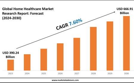 Home Healthcare Market Research 2024–2030: Demand Drivers & Projections