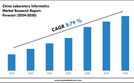 China Laboratory Informatics Market Report 2024–2030: Demand, Value & Share Outlook