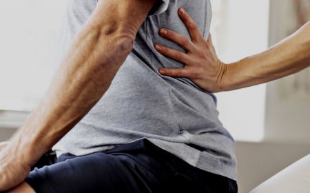 Ending the Cycle of Back Pain: Why an Experienced Greenville Physical Therapist is Your Best Ally