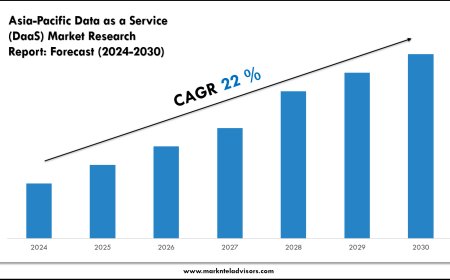 Asia-Pacific Data as a Service (DaaS) Market Scope, Volume and Executive Summary 2030