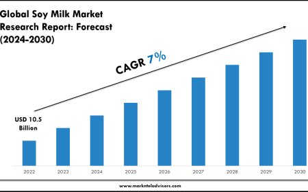 Soy Milk Market Scope, Volume and Executive Summary 2030