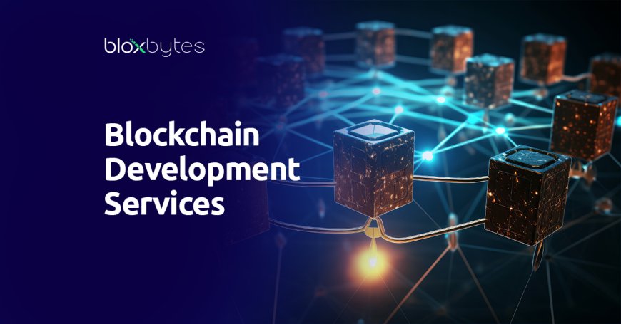 Blockchain Development Services by PrimaFelicitas: Building Trust with Technology