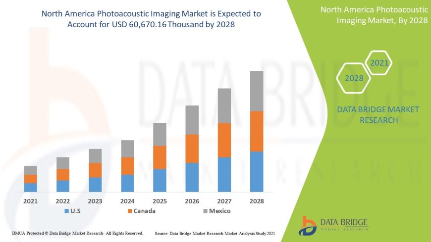 North America Photoacoustic Imaging Market Production, Demand and Business Outlook 2028