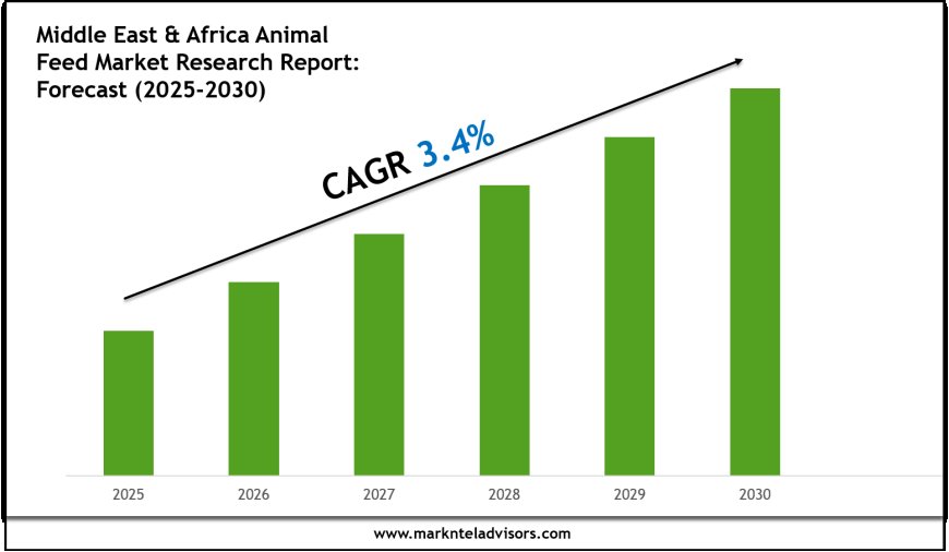 Middle East & Africa Animal Feed Market Overview 2025–2030: Demand & Future Trends