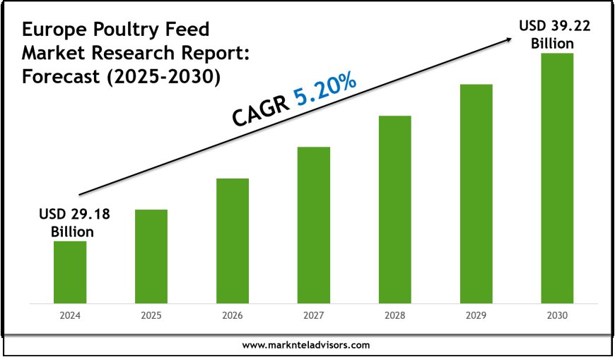 Europe Poultry Feed Market Growth Forecast to 2030: Size & Demand Outlook