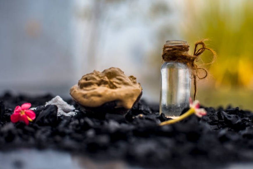 What Makes Purely Natural Shilajit a Superior Health Supplement?