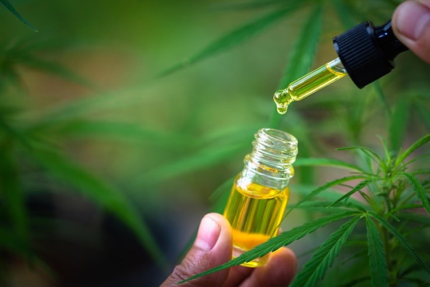 How Long Does CBD Oil Take to Work?