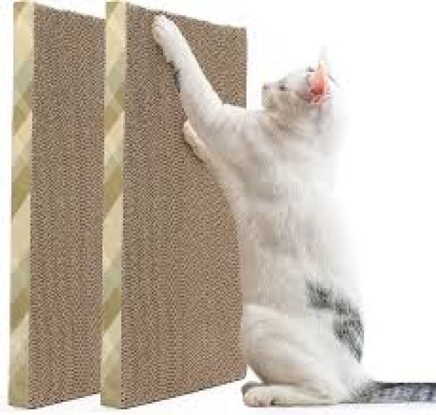Why Every U.S. Cat Owner Needs a Quality Cat Scratching Mat