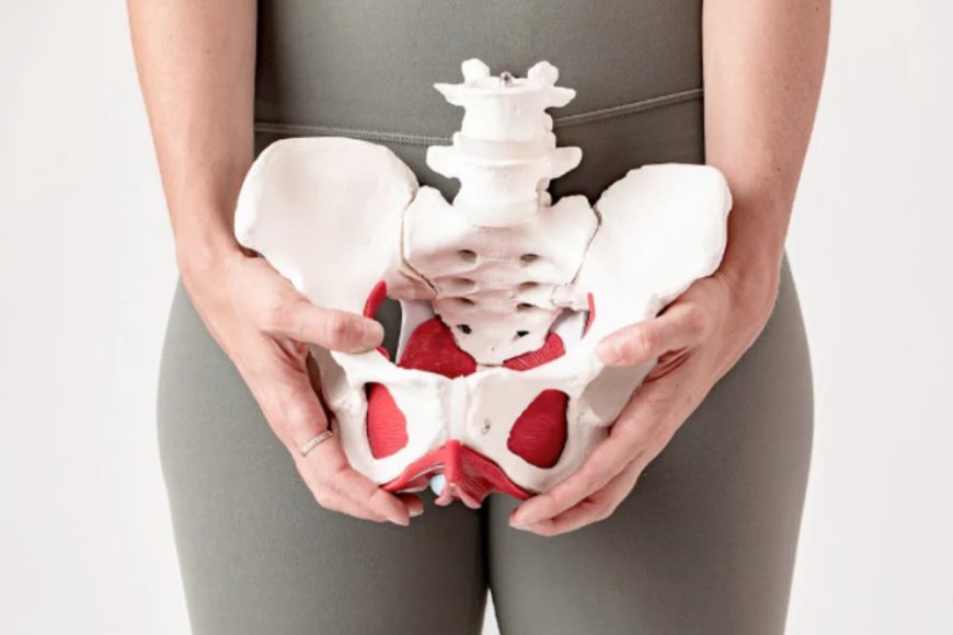 Pelvic Organ Prolapse: Types, Causes & Treatment