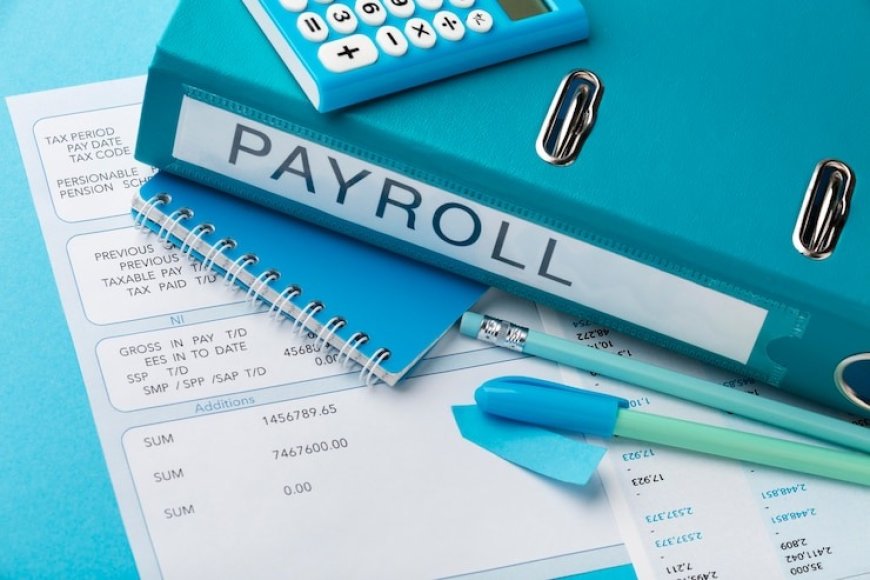 Expert Payroll Tax Consultant Services for Hassle-Free Compliance