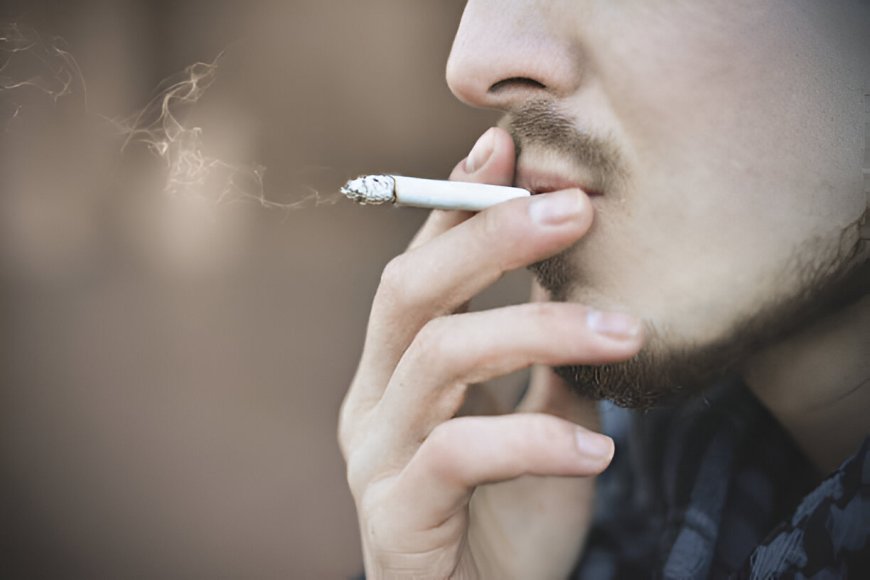 The Impact of Manchester Light Cigarettes on Australia's Tobacco Market