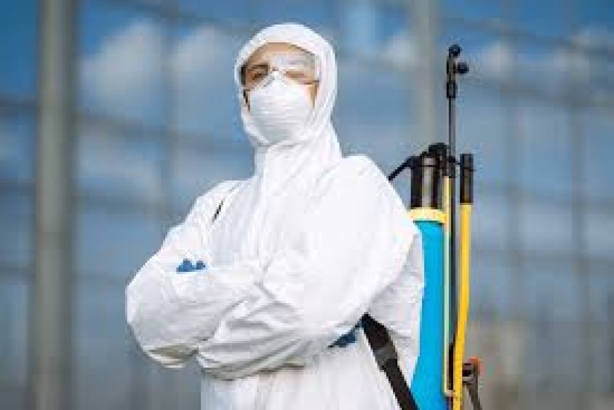 Keep Your Home Safe with Expert Pest Control Solutions
