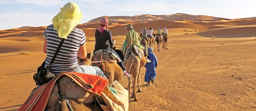 Affordable Desert Safari Packages in Dubai and Sharjah for 2025