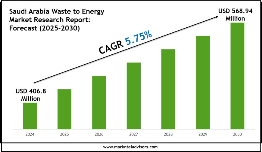 Saudi Arabia Waste to Energy Market Intelligence Report: 2025–2030 Forecast & Trends