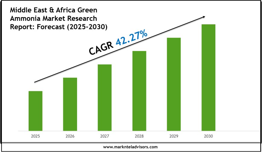 Middle East & Africa Green Ammonia Market Research 2025–2030: Demand Drivers & Projections