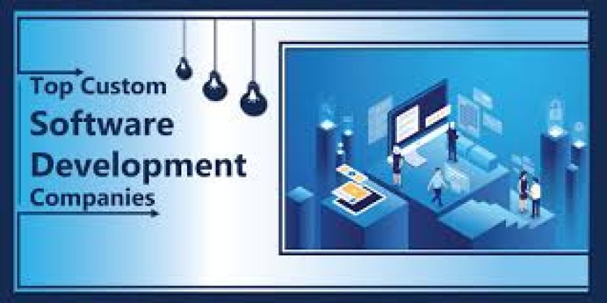 Why Customized Software Development Companies Are Reshaping the Digital Future
