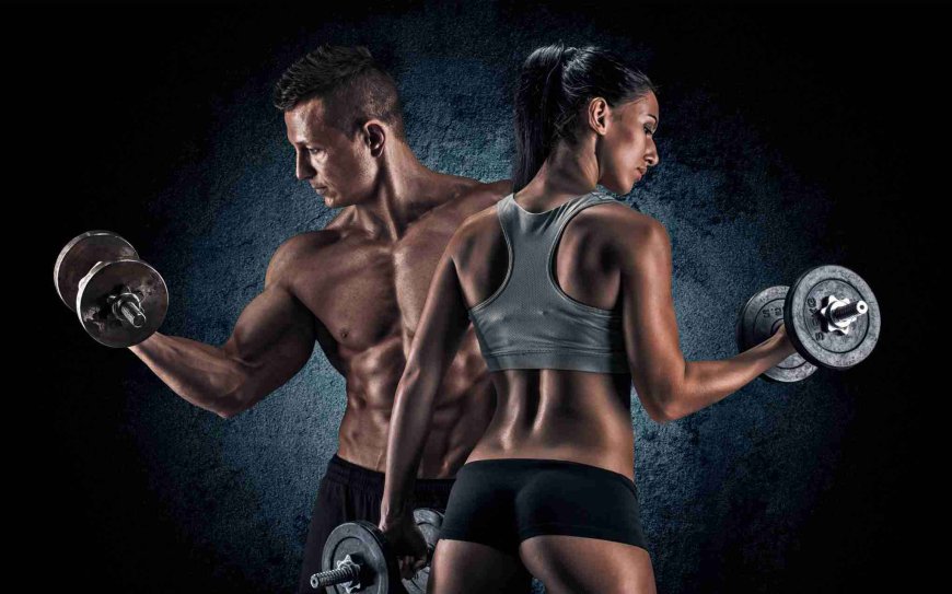 Types of Body Fitness