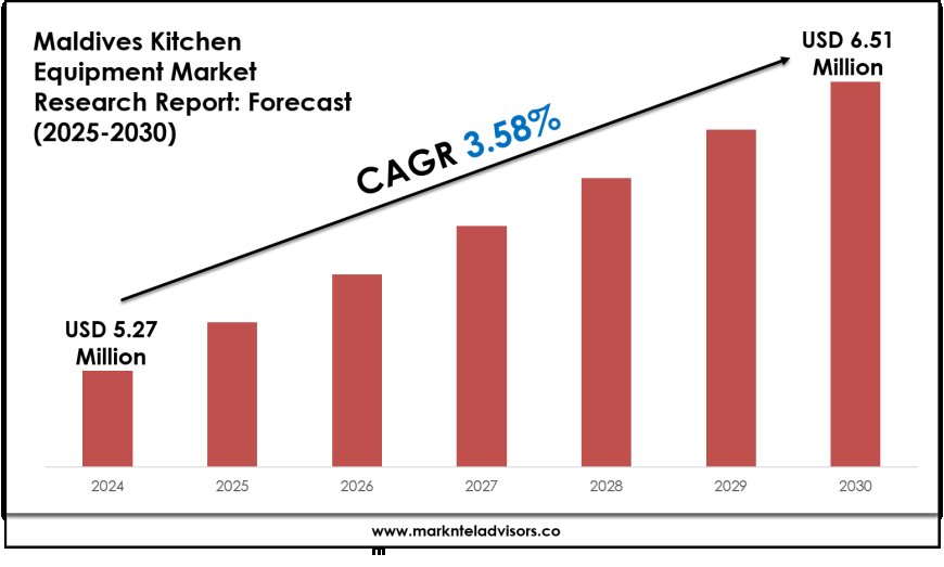 Maldives Kitchen Equipment Market Research 2025–2030: Demand Drivers & Projections