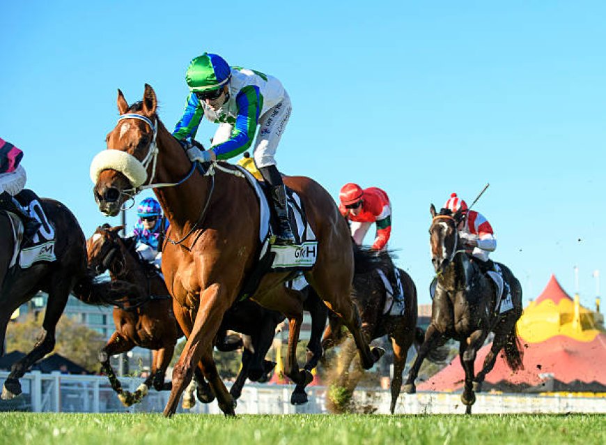 Unlocking the Power of Top PuntGenie: A Smarter Way to Bet