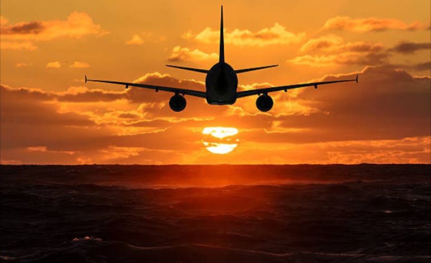 Discover the Services at the Turkish Airlines Chicago Office