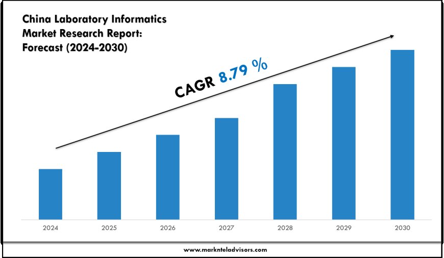 China Laboratory Informatics Market Report 2024–2030: Demand, Value & Share Outlook