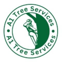 hulltreesurgeon